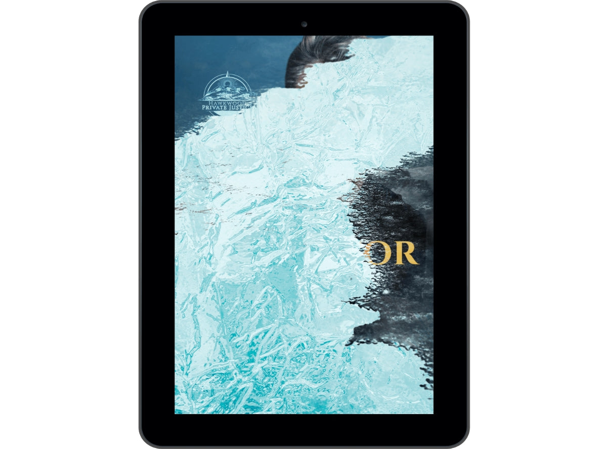 Protector: Clean Romantic Suspense [eBook]